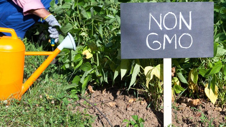 non-GMO garden sign