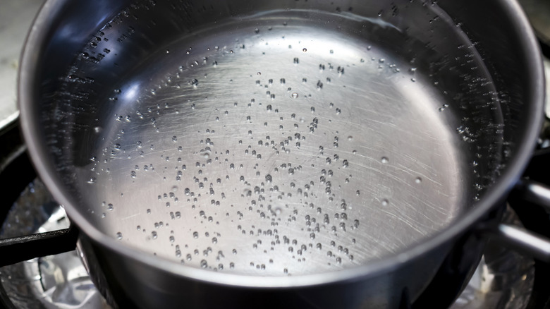 simmering water in pot