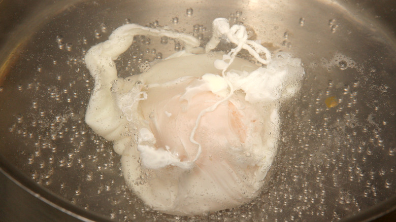 poached egg in water