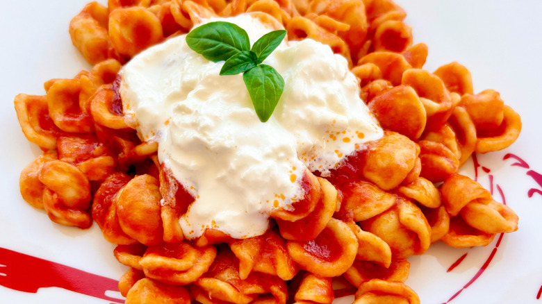 Plate of orecchiette pasta with tomato sauce and creamy cheese