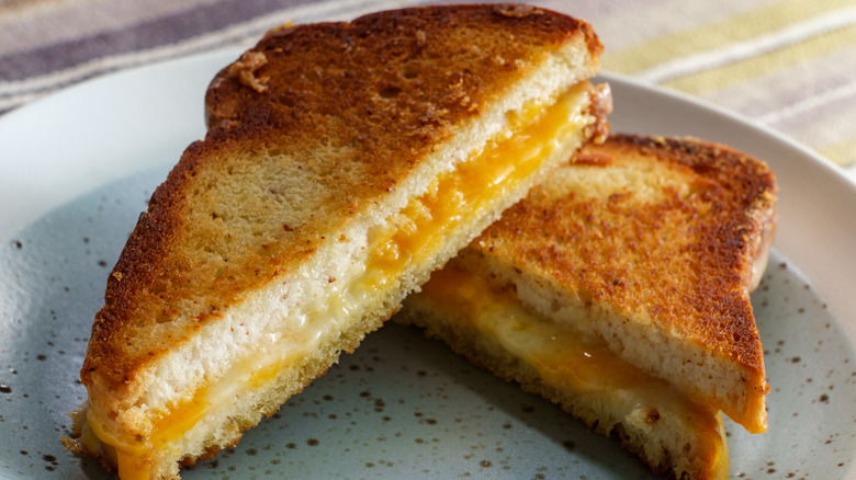 Plain grilled cheese