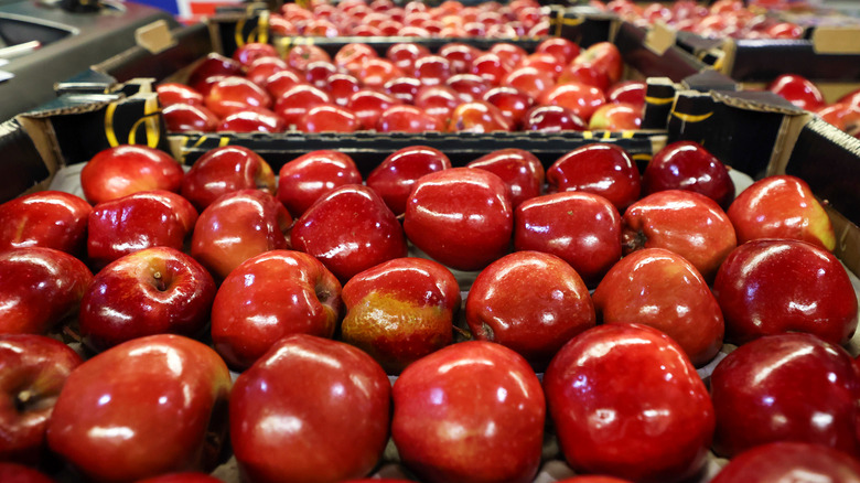 red delicious apples in trays