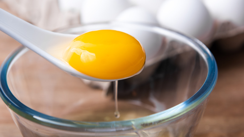 egg yolk in a spoon