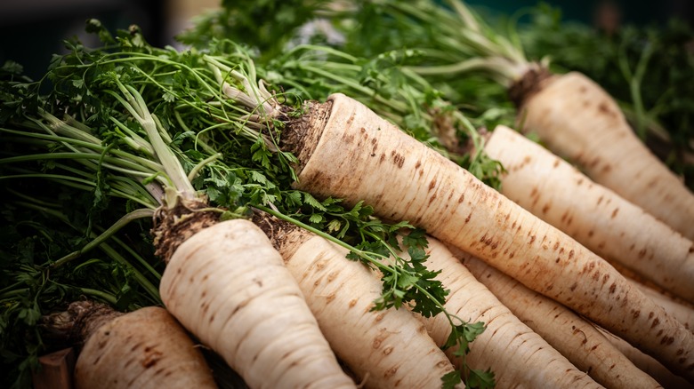 pile of raw parsnips