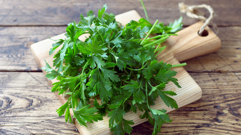 fresh parsley on wooden board