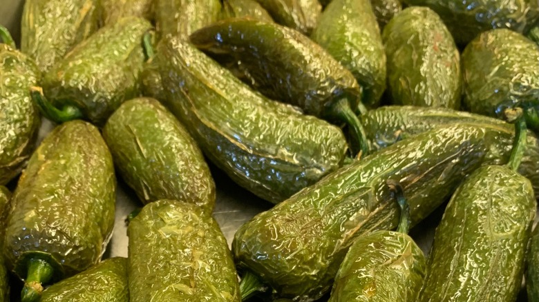 roasted jalapeno peppers