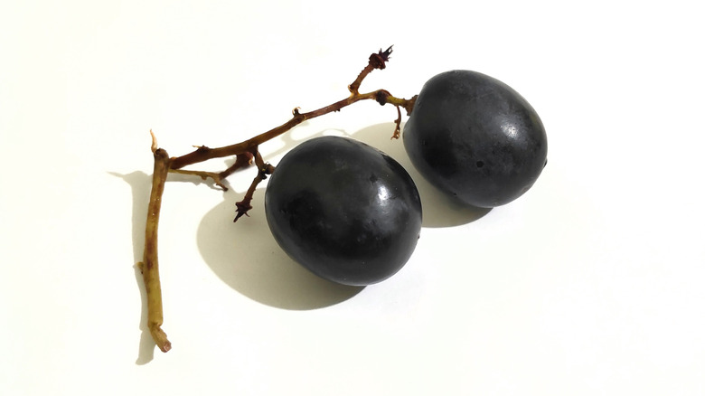 sweet jubilee grapes