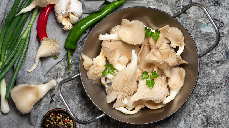Oyster mushrooms in frying pan