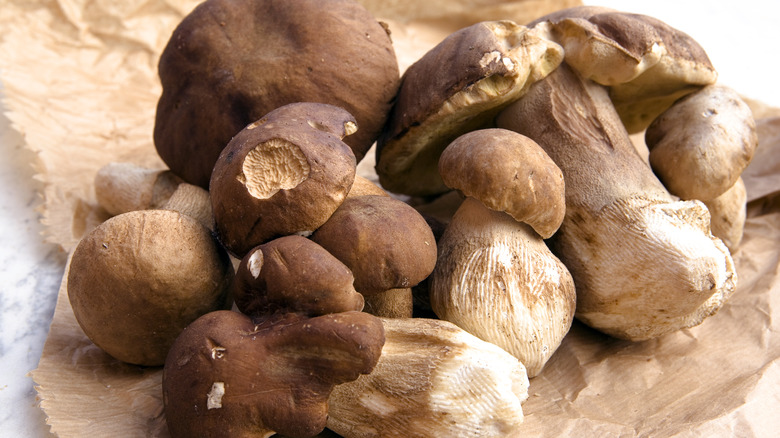 Porcini mushrooms on brown paper