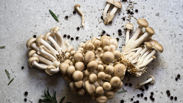 Bunch of shimeji mushrooms