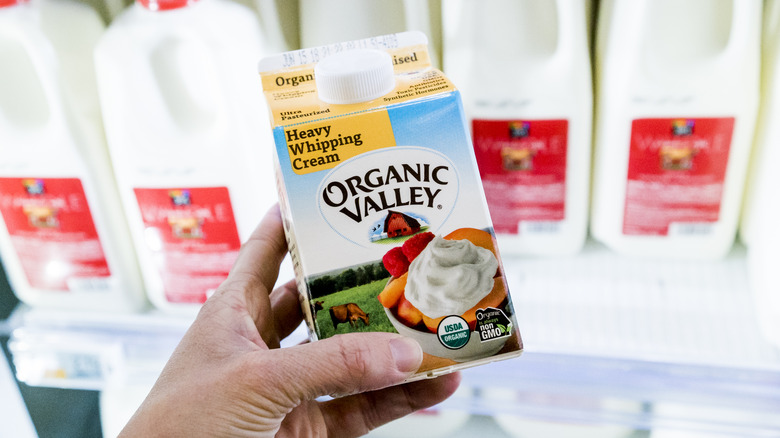 Hand holding Organic Valley cream