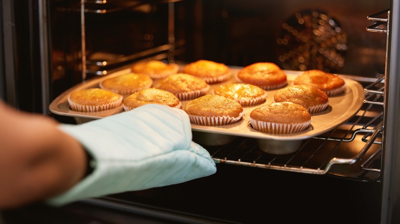 Baked muffins being taken from the oven