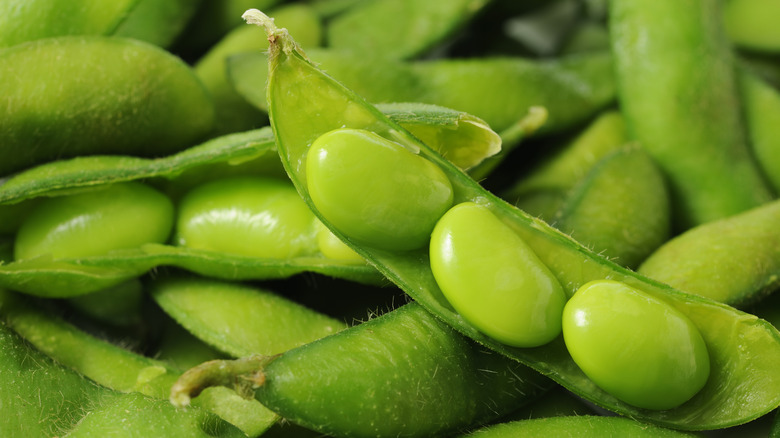 closeup of open edamame pods