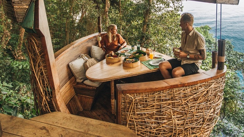 People eating in trees