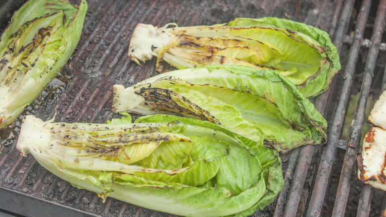 romaine lettuce charring on a grill 