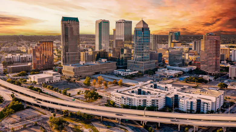 the city skyline of Tampa