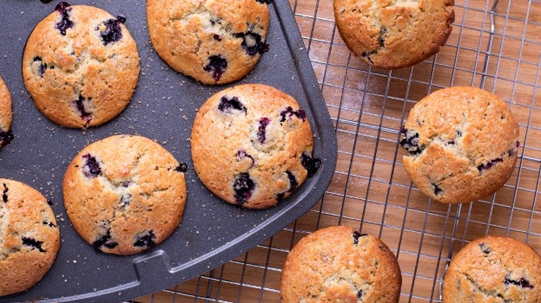 blueberry muffins cooling