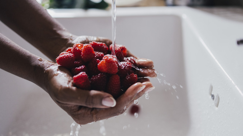 woman rinsing raspberries under water