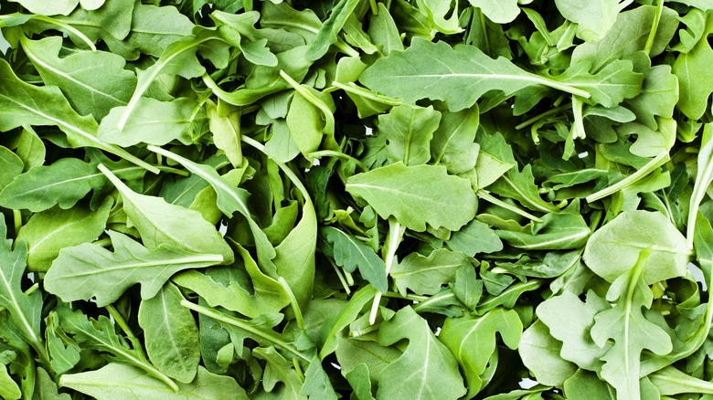 Arugula