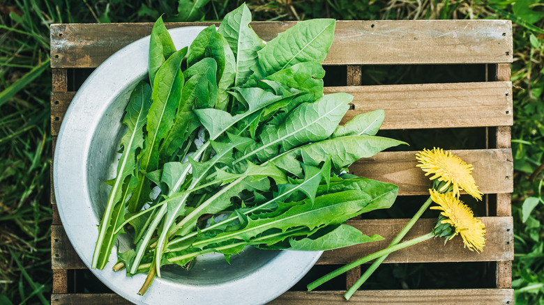 Plate of dandelion greens on crate with flowers on the side