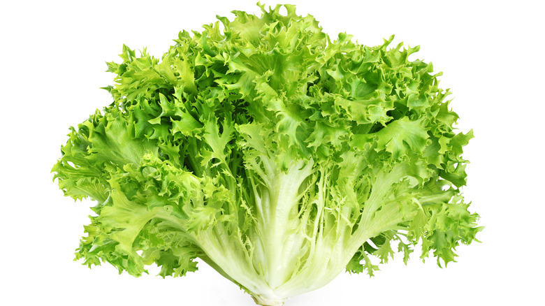 Frisée