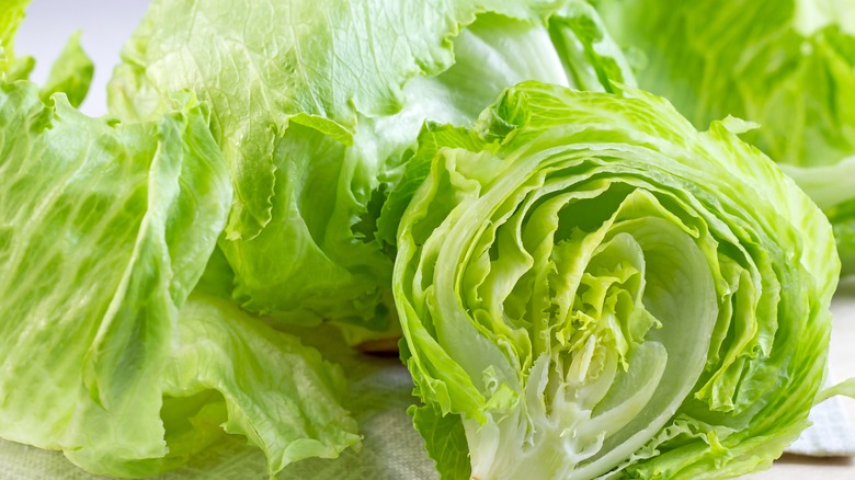 Iceberg lettuce