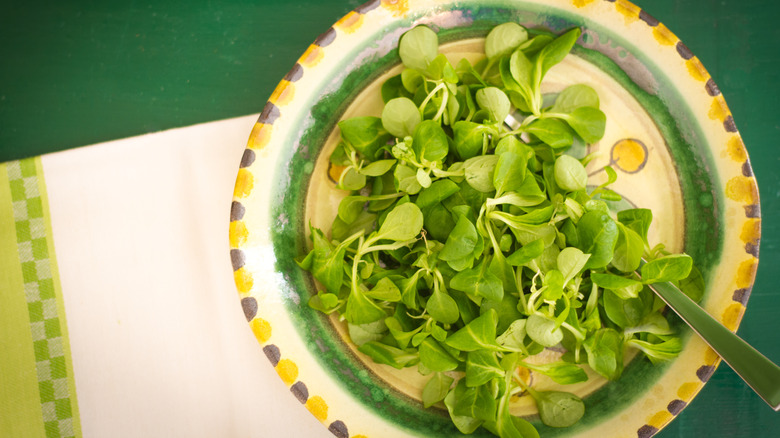 Plate of Mâche greens with fork