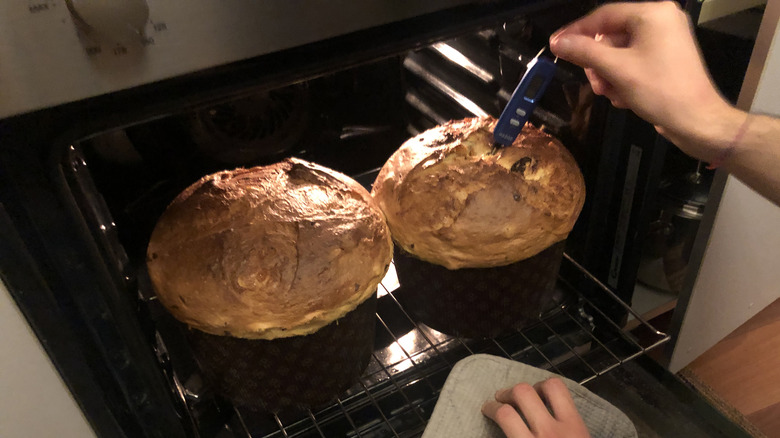 Testing doneness of panettone with thermometer