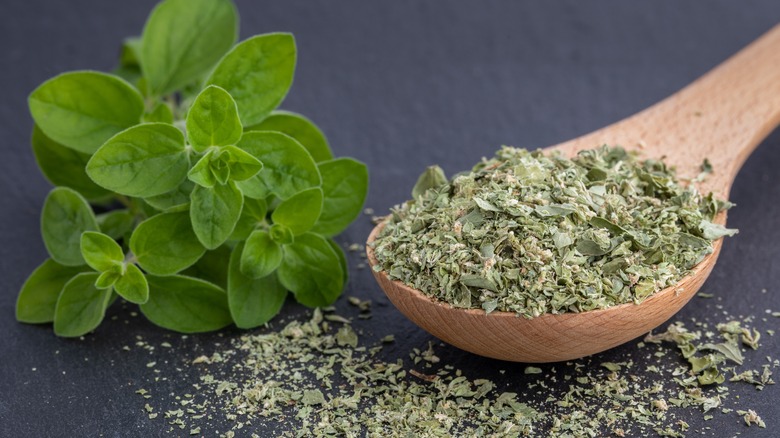 fresh and dried oregano