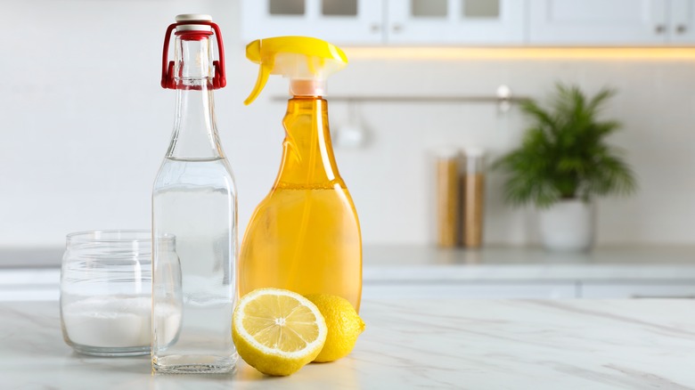 lemon glass cleaner