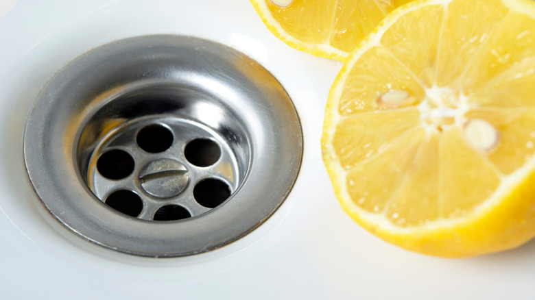 lemons by sink drain