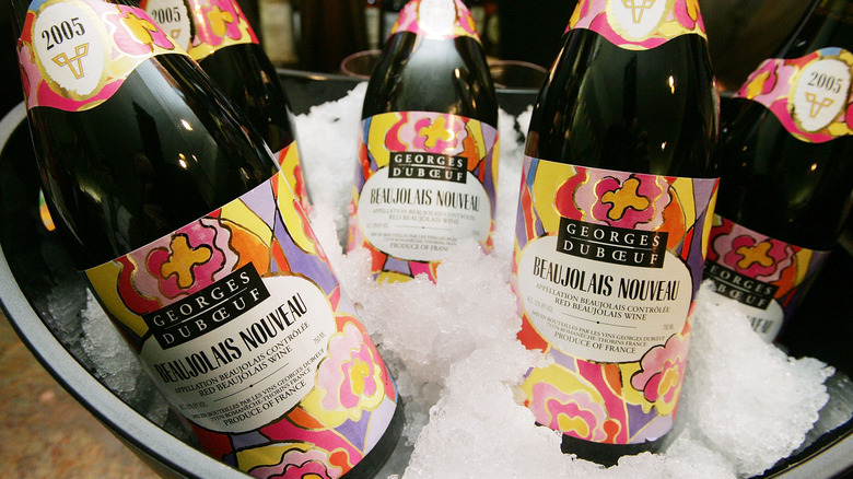 Bottles of Beaujolais Noveau wine on ice