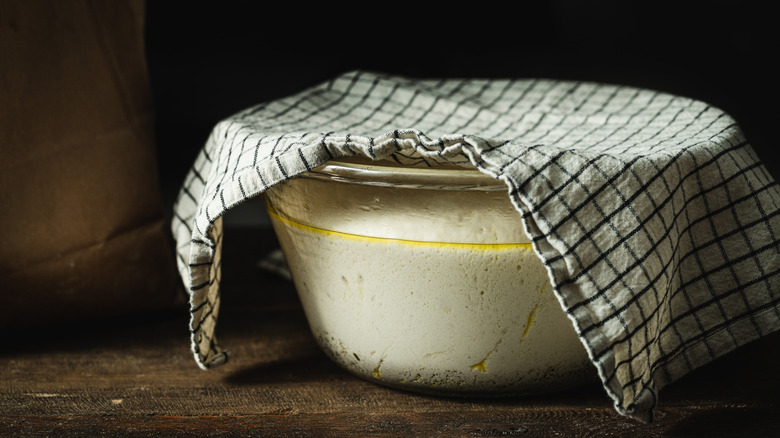 A batch of bread dough sits in a glass bowl covered by a green and white checkered dish towel