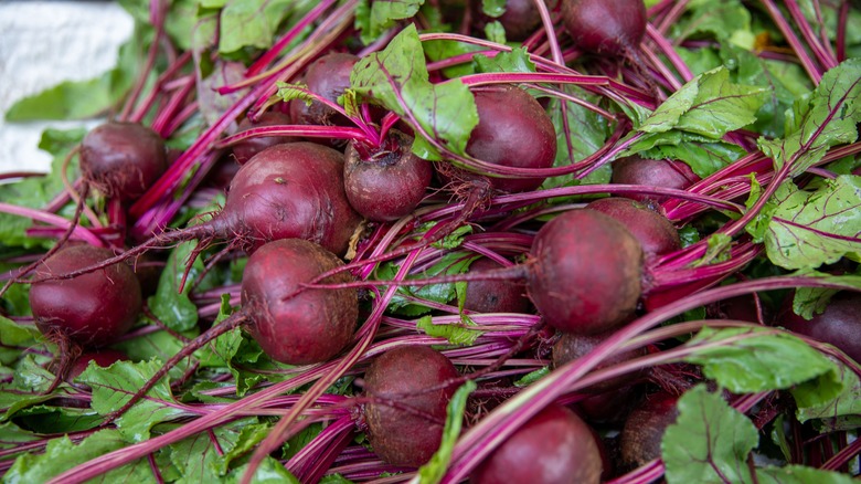 fresh beetroot with leaves