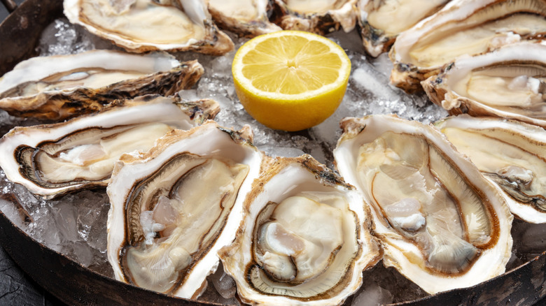fresh oysters on ice with lemon