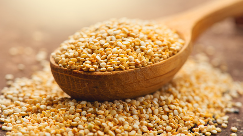 quinoa grains on a wooden spoon