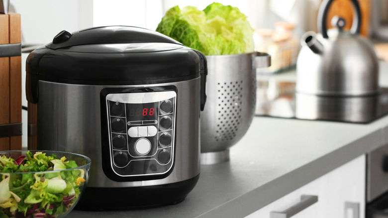 electric multicooker on kitchen counter