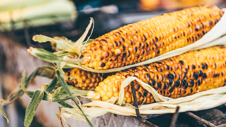 Grilled corn on the cob with husks