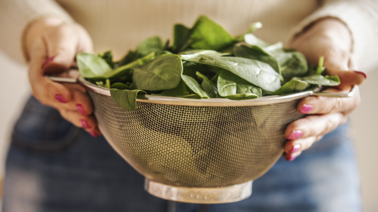 Hands holding a metal sieve with raw green spinach leaves