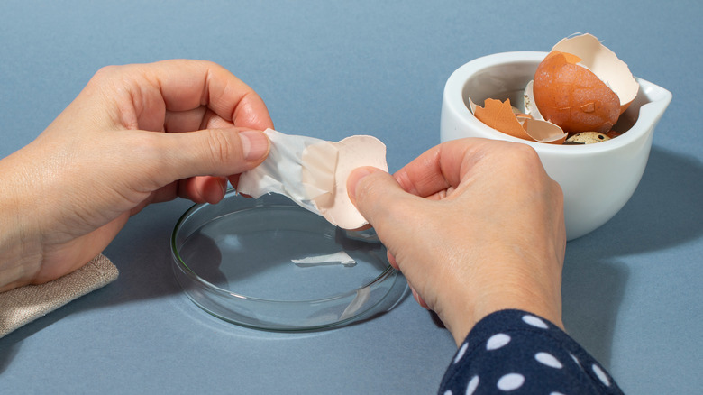 hands removing egg shell membrane
