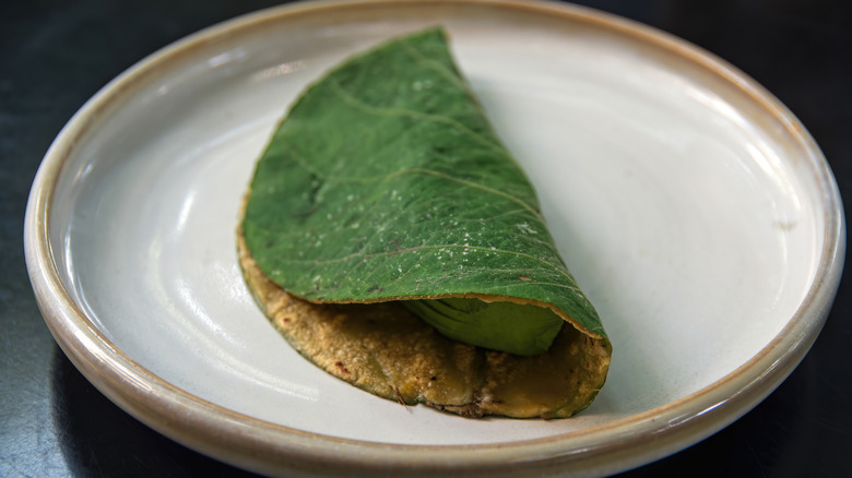 Quesadilla with hoja santa tortilla