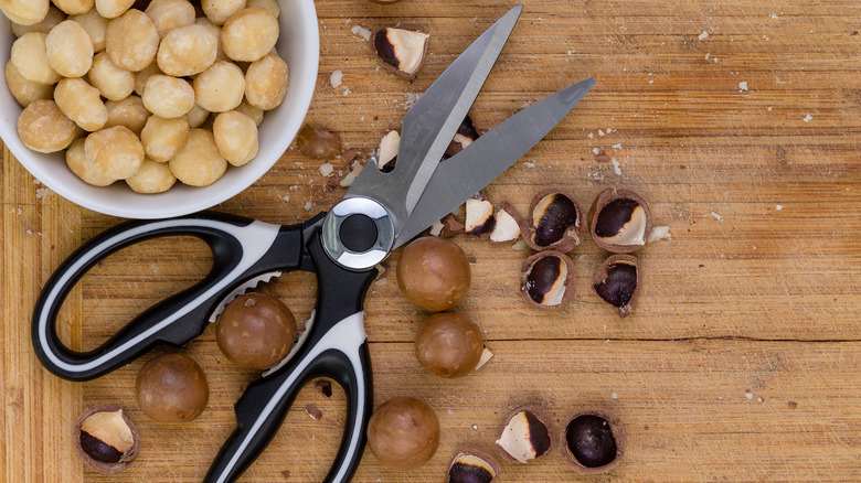 pair of kitchen shear scissors with chestnuts
