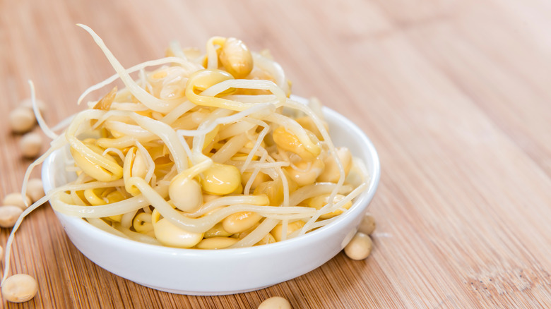 canned bean sprouts