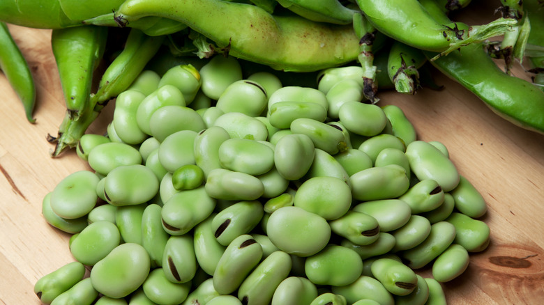 fava beans