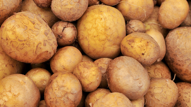 close-up of German Butterball potatoes