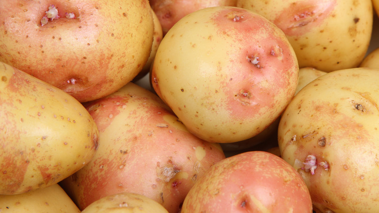 close-up of King Edward potatoes