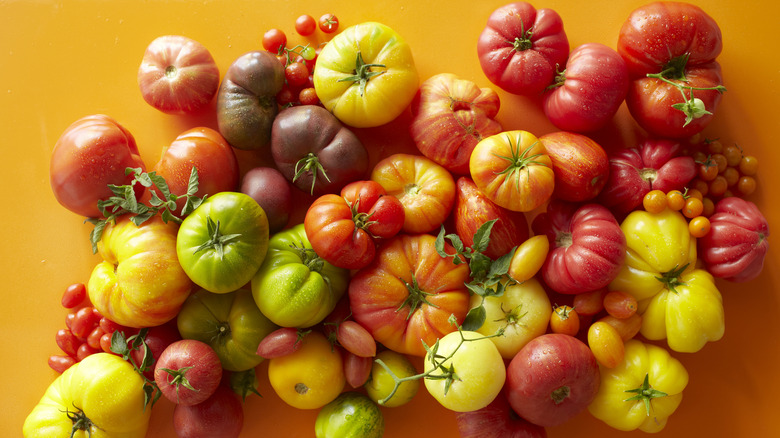 A wide variety of different tomatoes on an orange surface