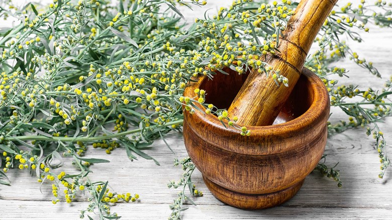Flowering wormwood stems with mortar and pestle