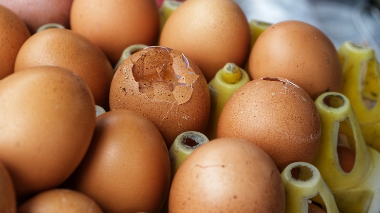 Cracked and whole eggs 