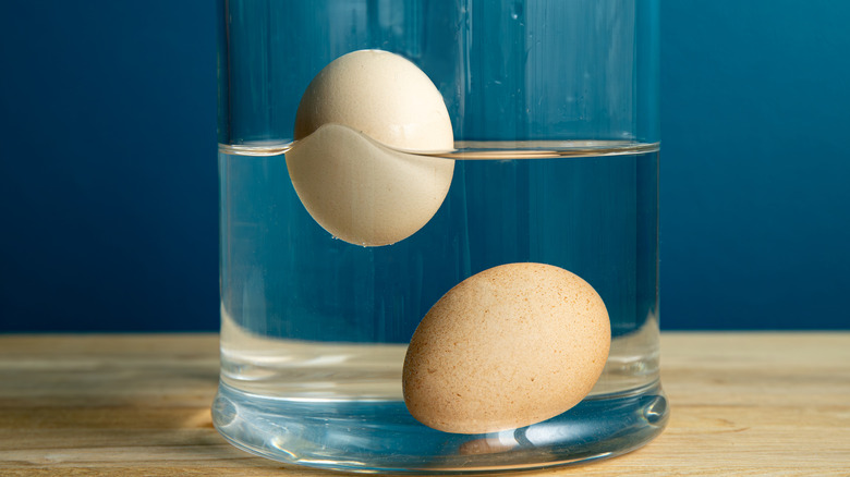 Eggs in water